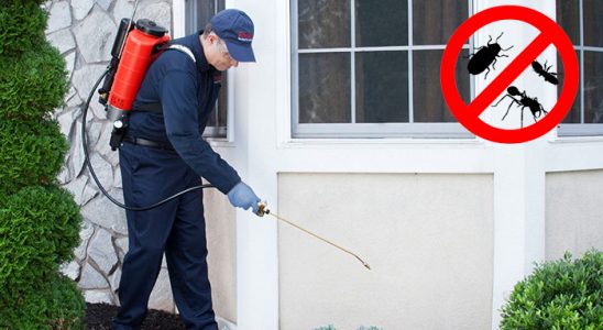 Evka 2 Akrep İlaçlama böcek ilaçlama ve haşere kontrolü — ilaclama-tr.com